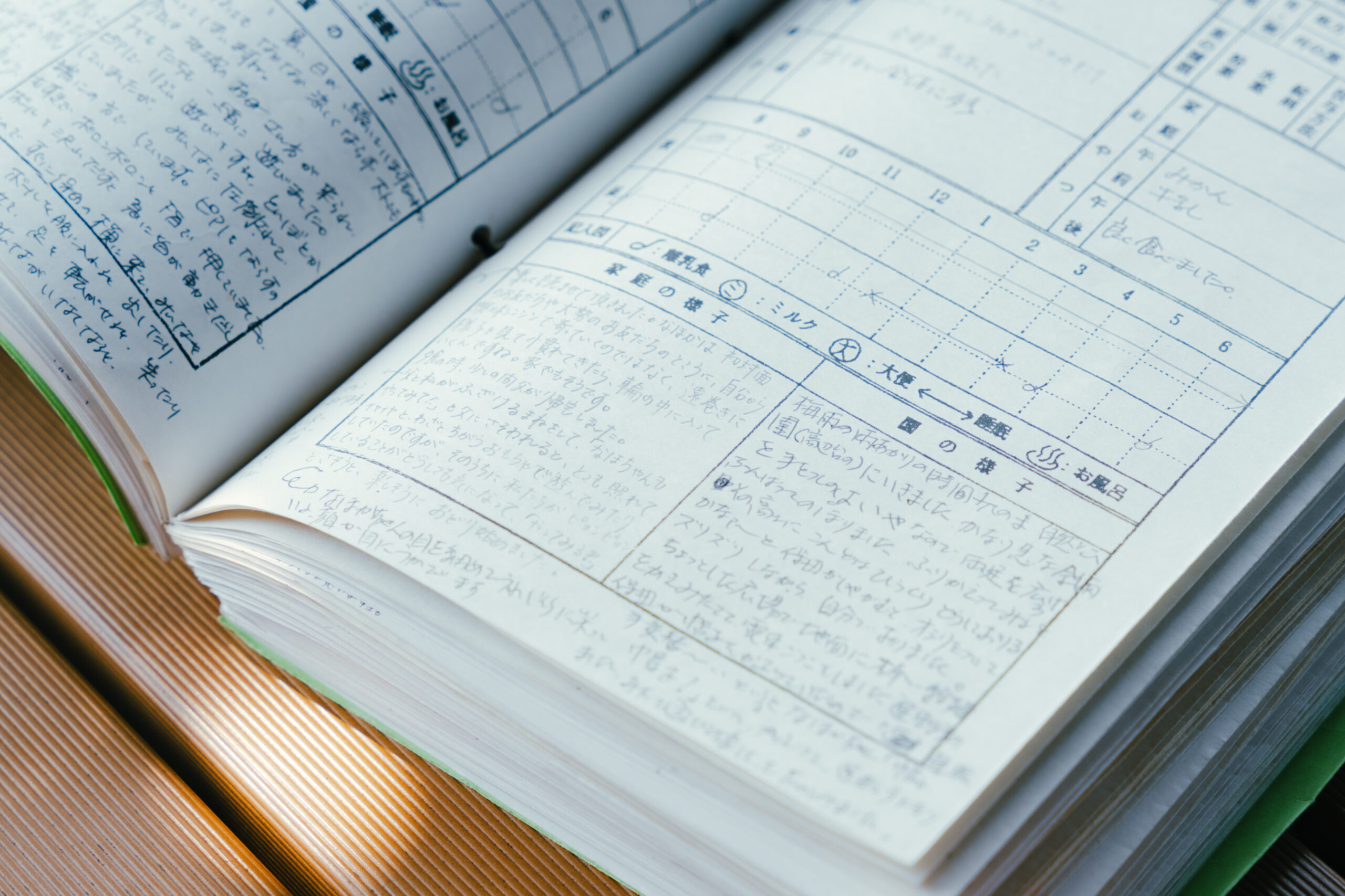 おいたちの記のノート